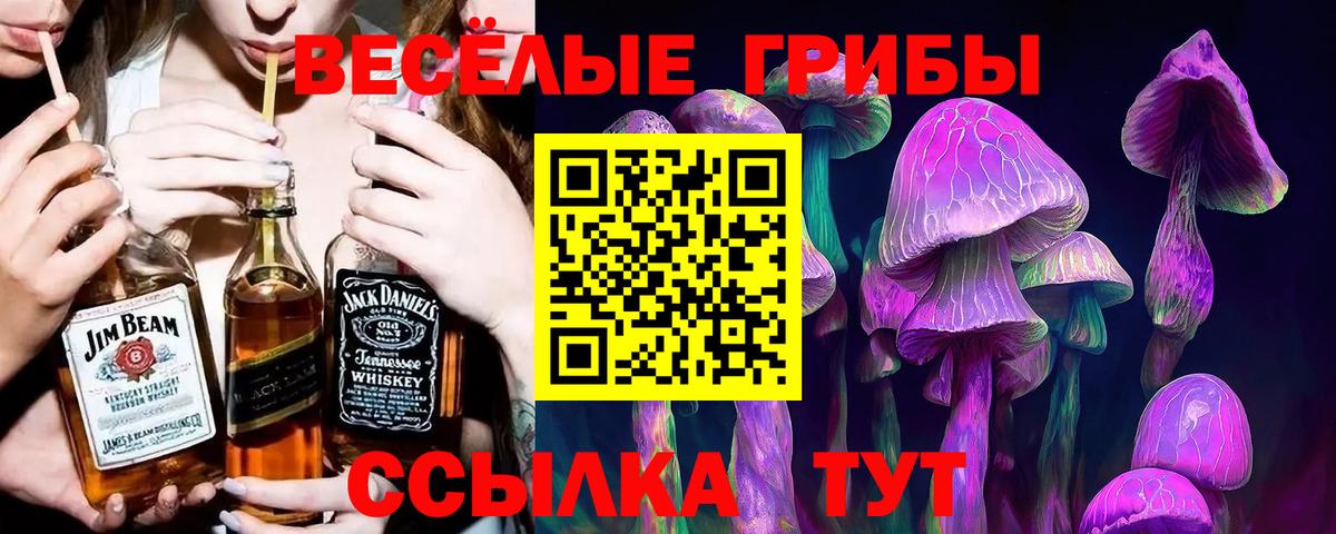 Галлюциногенные грибы Cubensis Черногорск