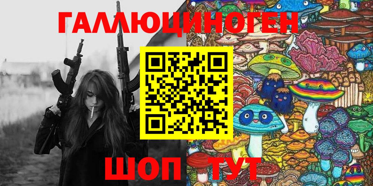 закладки  Галлюциногенные грибы прущие грибы  Вход с VPN  Черногорск 